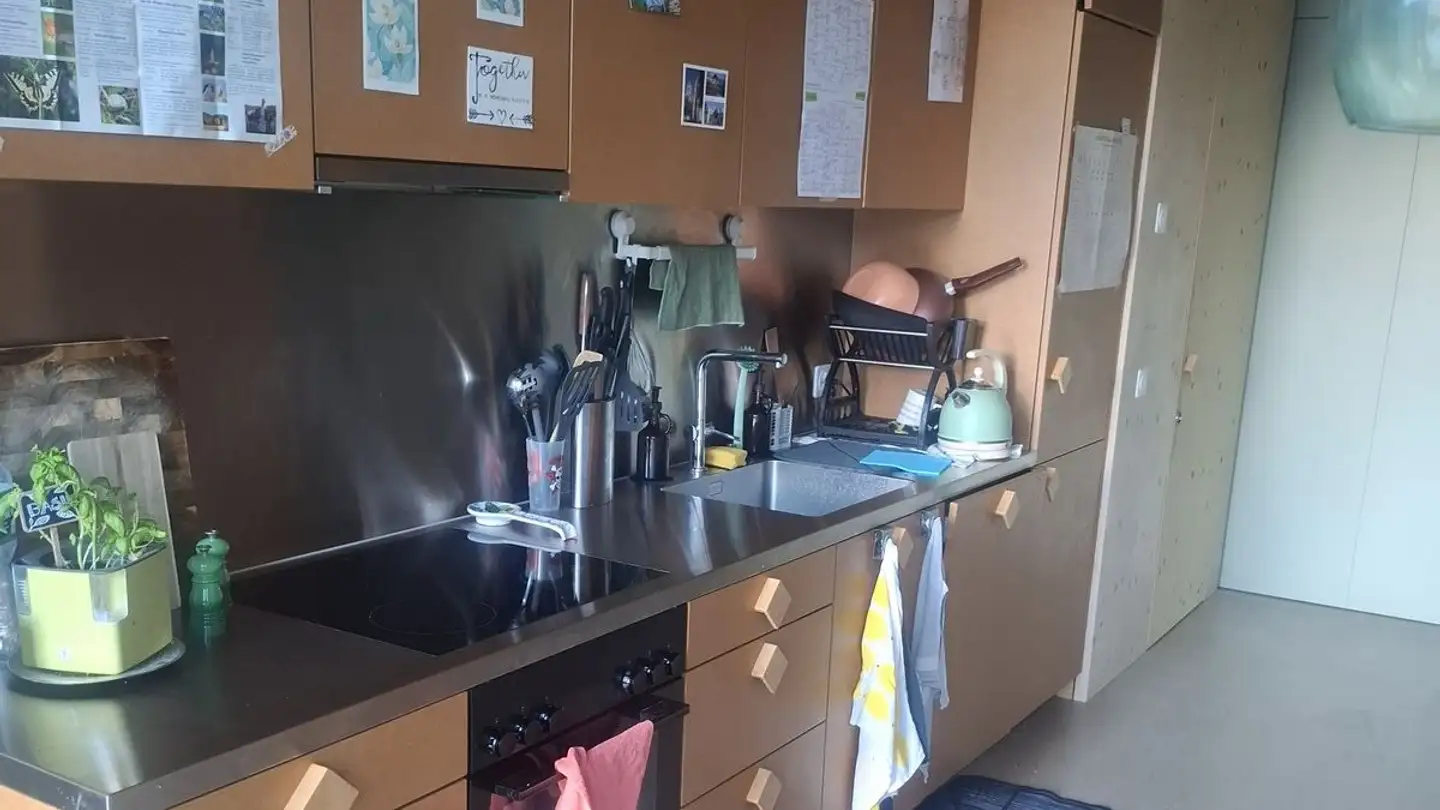 Stanza singola in affitto - Bergstrasse, 8810 Horgen - Foto 4