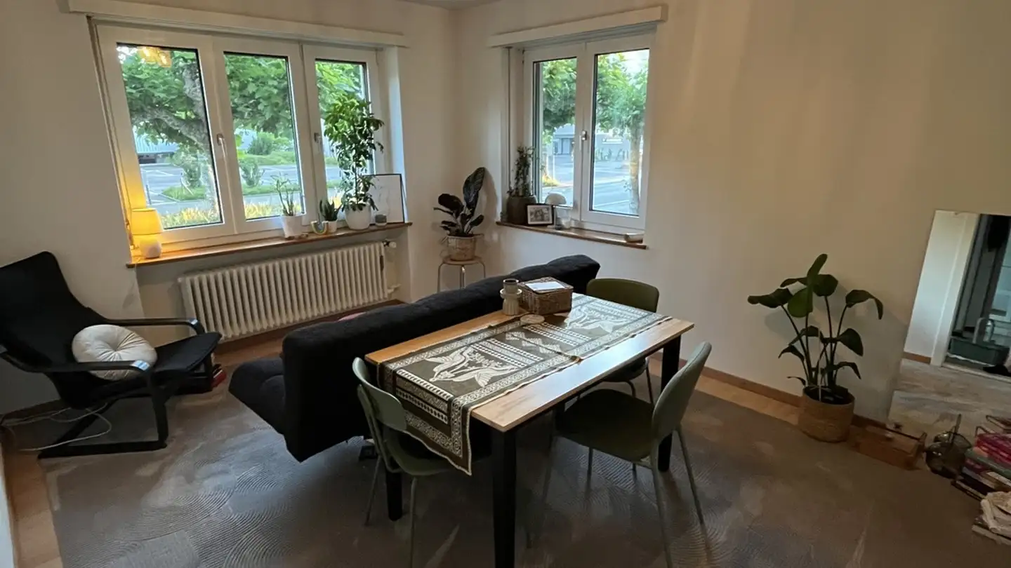 Appartamento in affitto - 8400 Winterthur