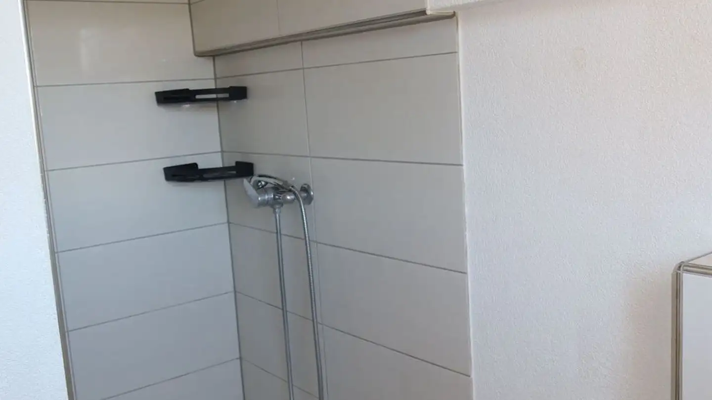 Apartment for rent - 4704 Niederbipp - Photo 4