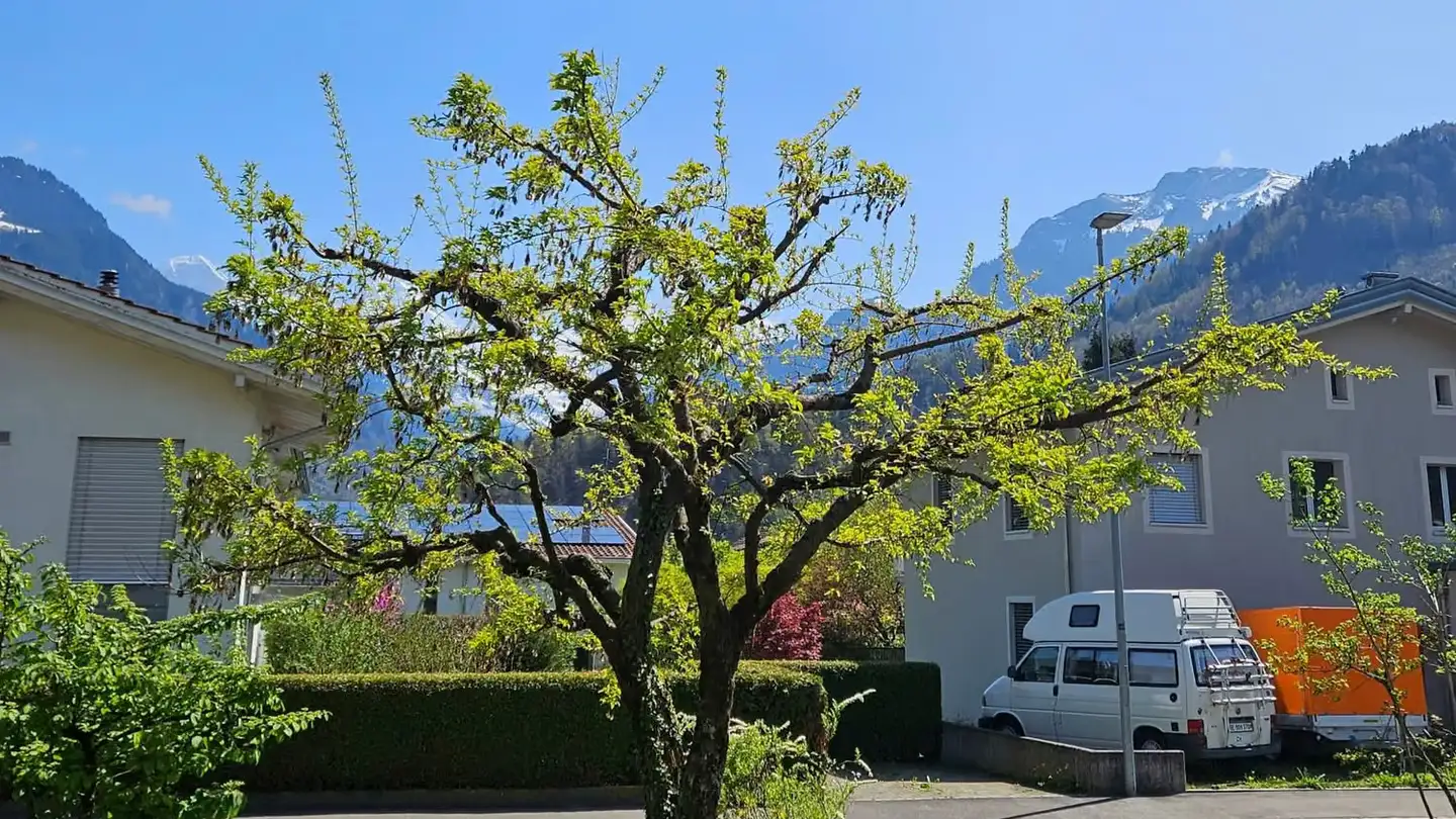 Appartamento a gradini in vendita - Weissenaustrasse 9a, 3800 Unterseen - Foto 4