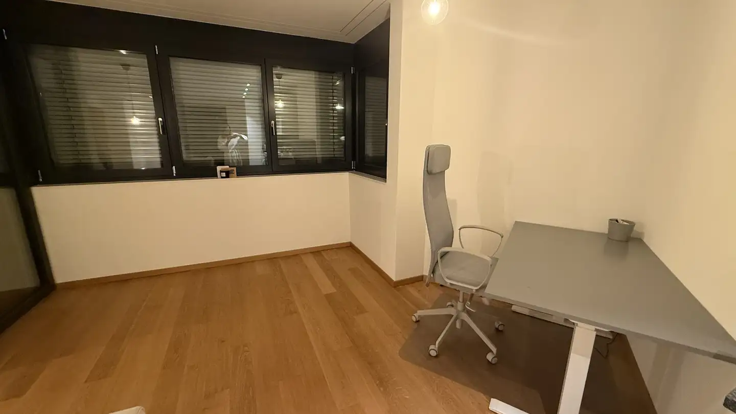 Appartamento in affitto - Hofwiesenstrasse 338, 8050 Zürich - Foto 3