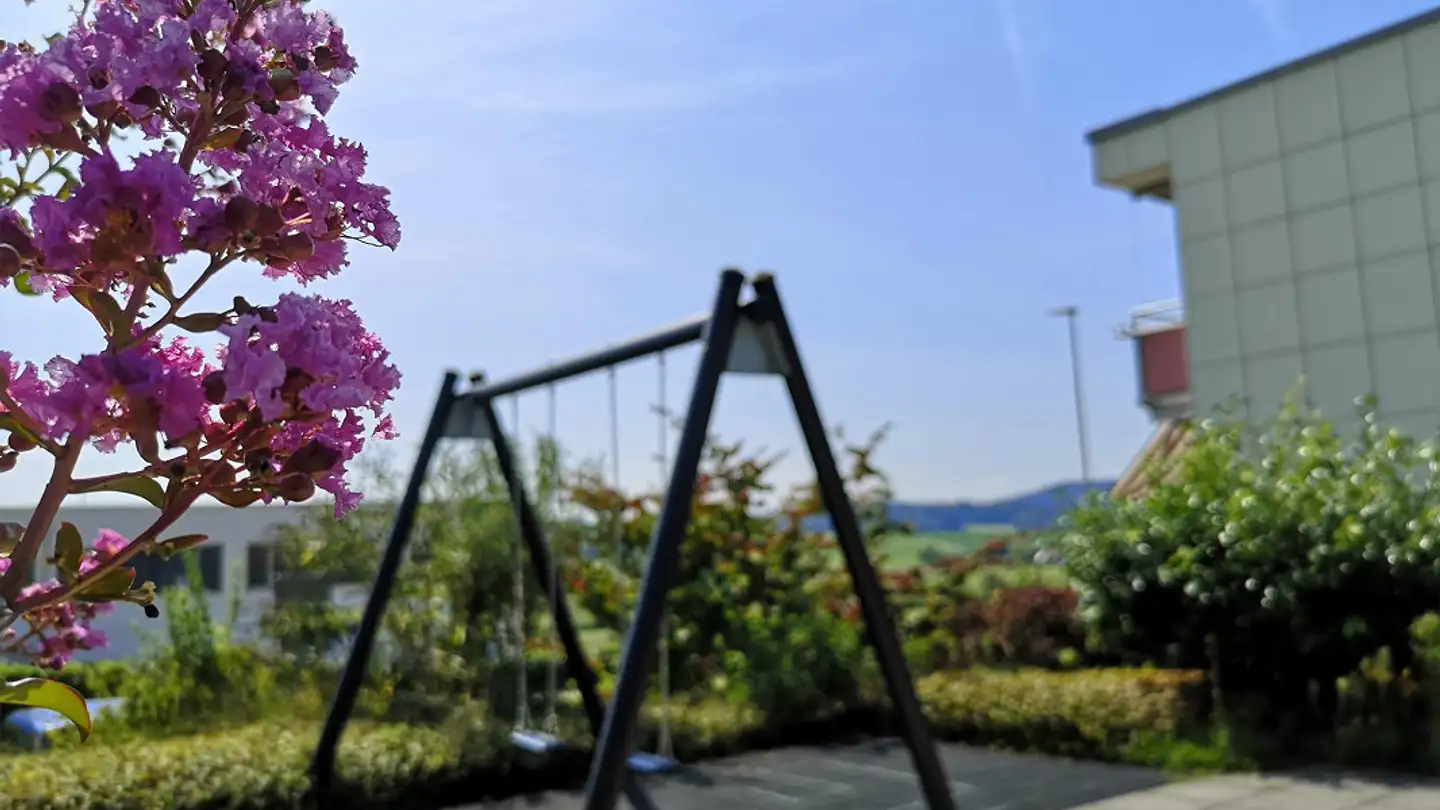 Appartamento in affitto - Birchstrasse 141, 8156 Oberhasli - Foto 2