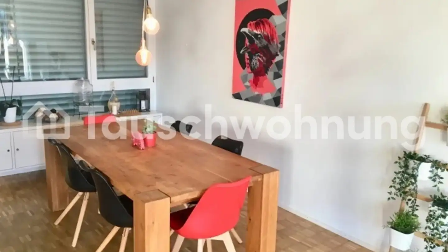 Duplex in affitto - 8702 Zollikon - Foto 2