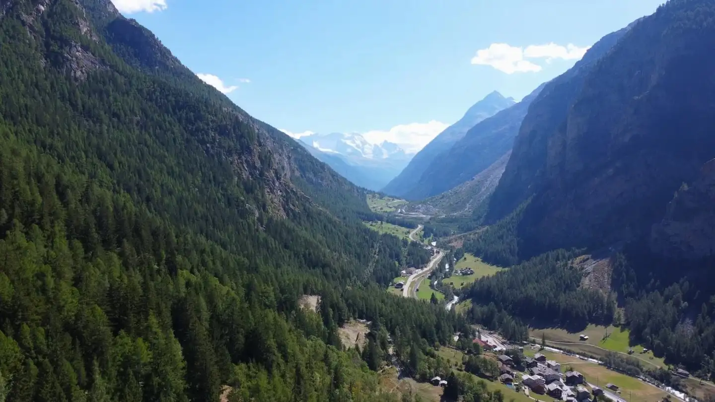 Bauland kaufen - 3927 Herbriggen