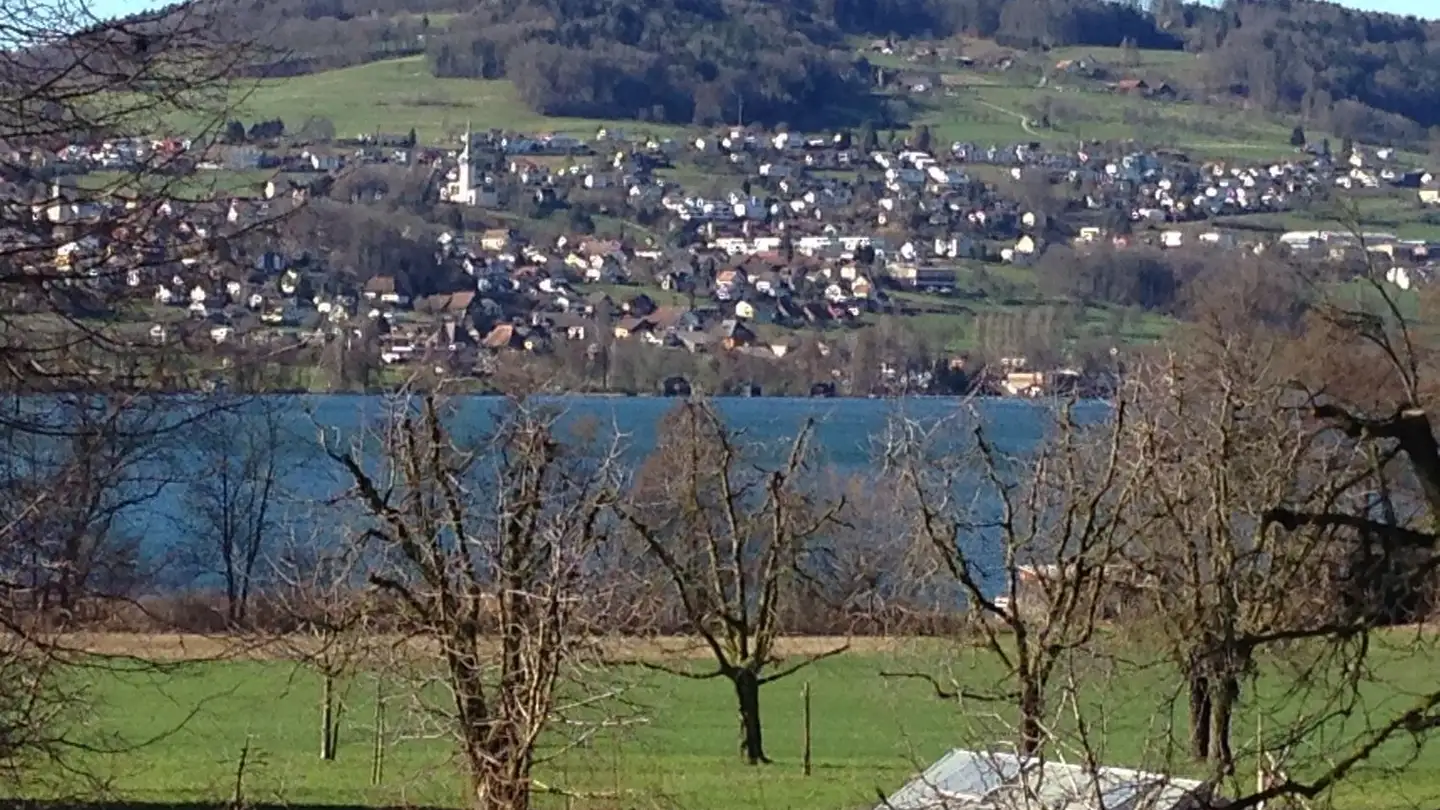 Appartement à louer - Moosweg 2, 6287 Aesch LU