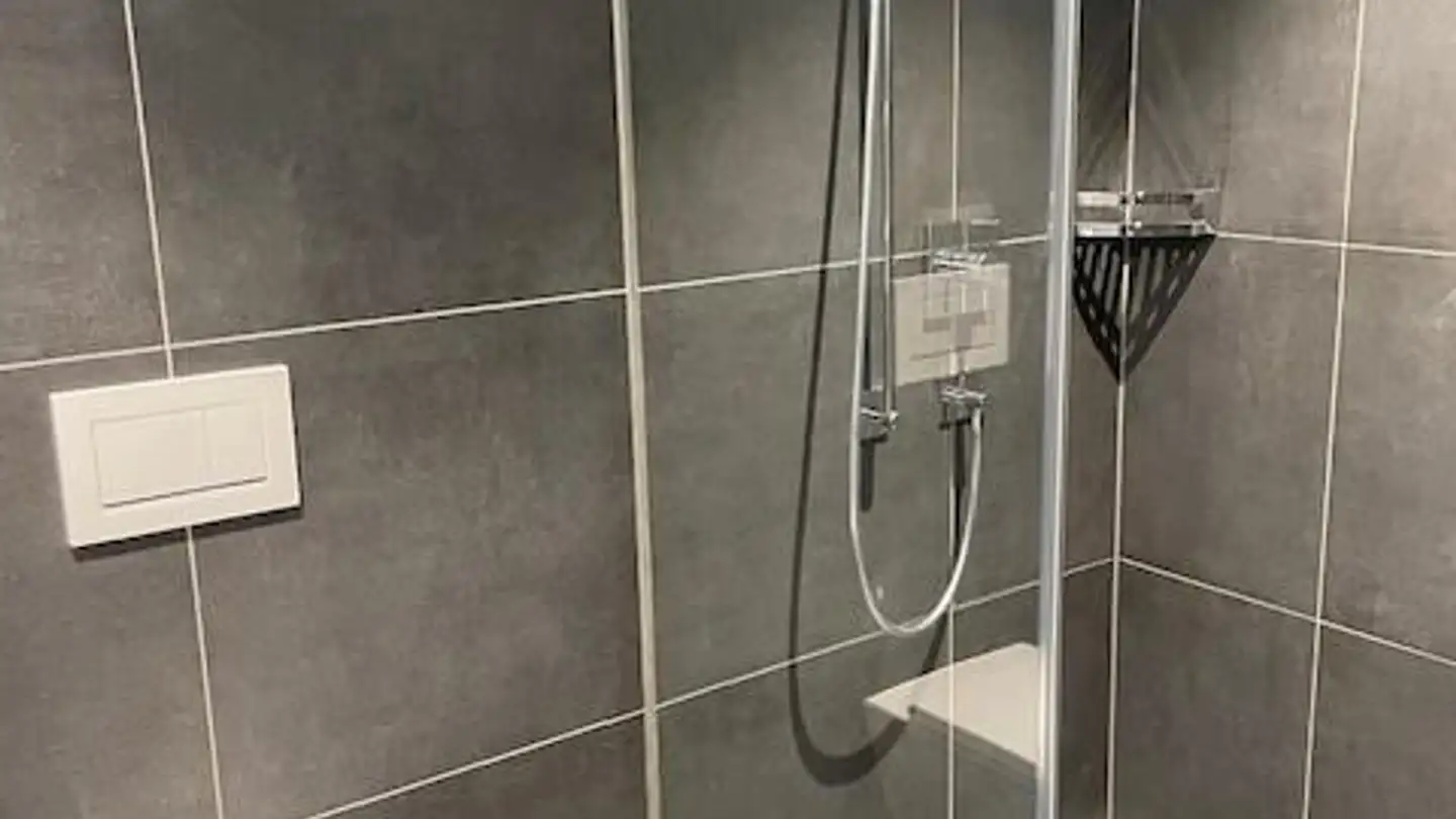 Studio for rent - Im Zehntenfrei 42, 4102 Binningen - Photo 3