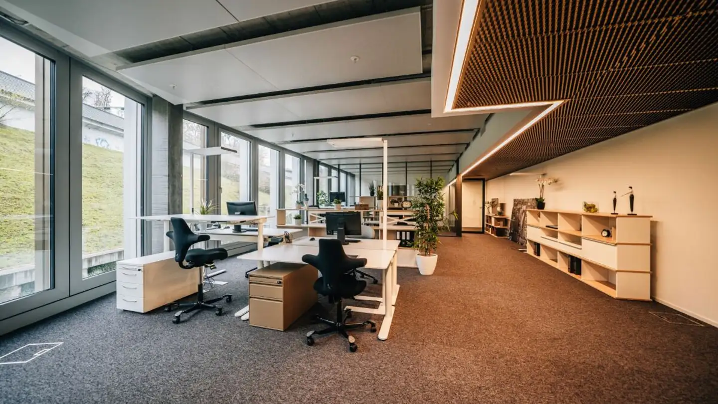 Office space for rent - Maneggstrasse 33, 8041 Zürich