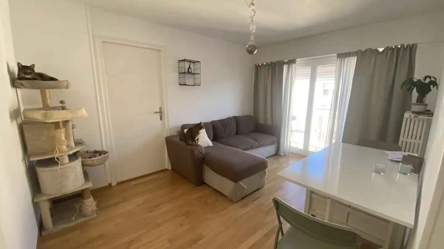 Appartamento in affitto - Avenue Victor-Ruffy 20, 1012 Lausanne - Foto 4