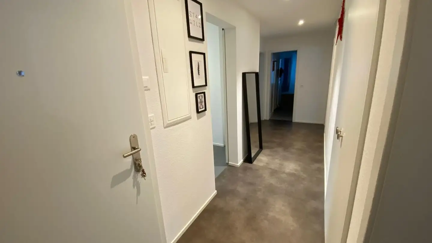 Appartamento in affitto - Brühlgartenstrasse 1, 8400 Winterthur - Foto 3