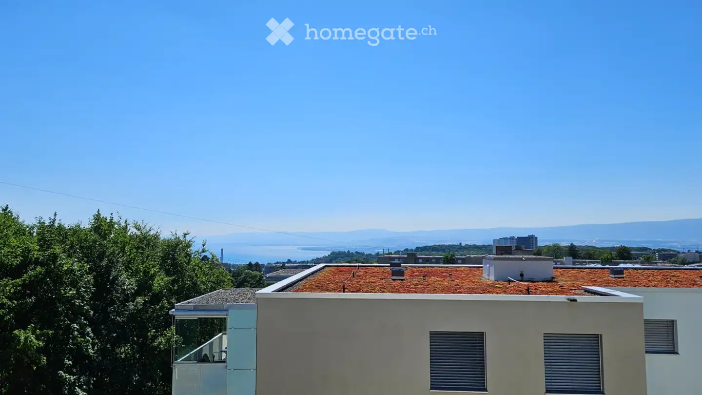 Appartamento in affitto - Avenue Des Boveresses 72, 1010 Lausanne