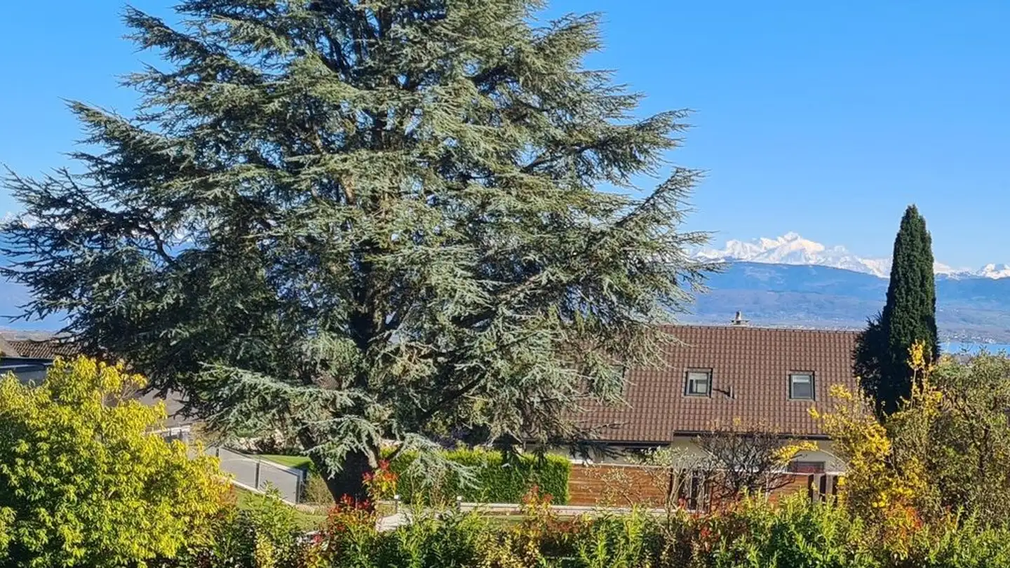 Casa singola in vendita - 1272 Genolier - Foto 3