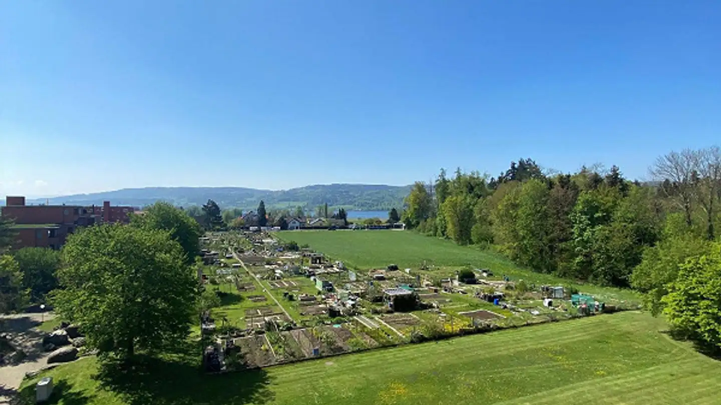 Appartamento in affitto - Burstwiesenstrasse 67, 8606 Greifensee - Photo 3