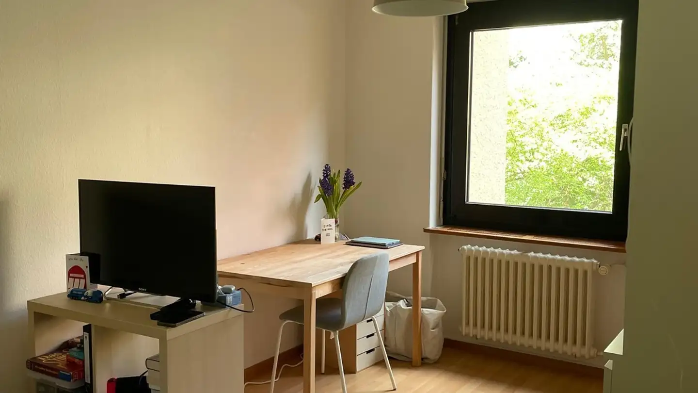 Chambre à louer - 8032 Zürich