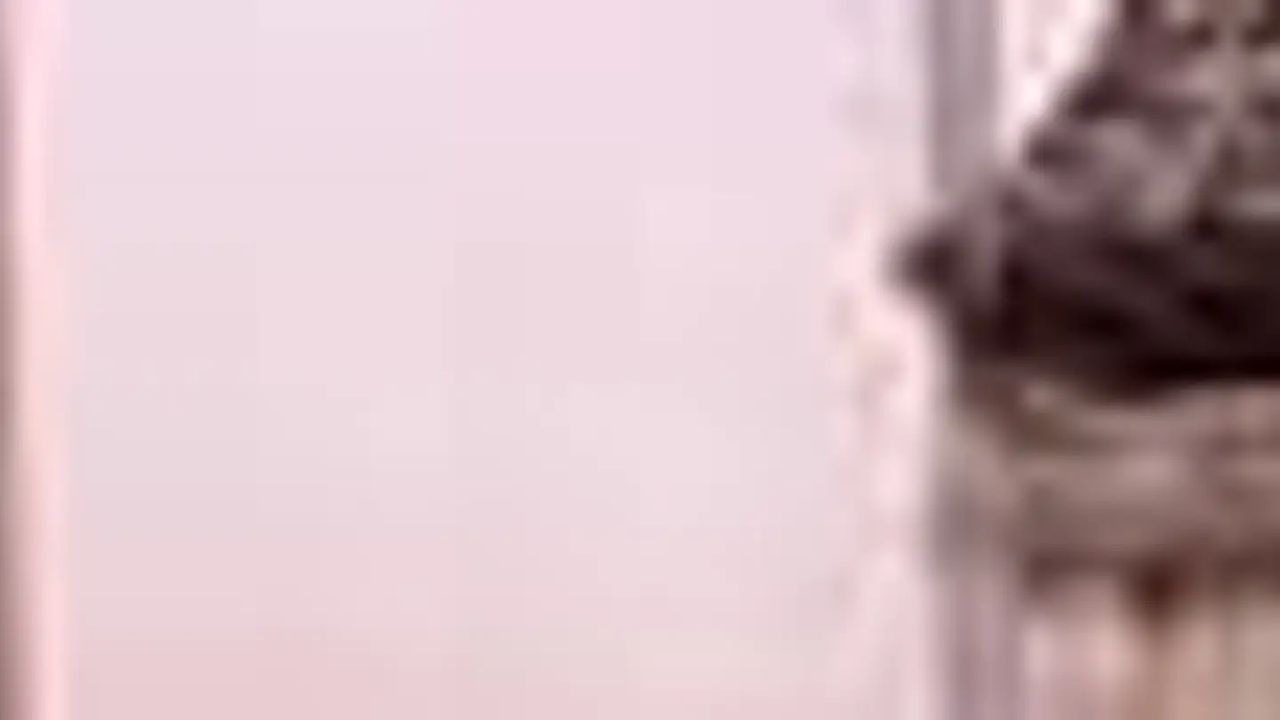 Einfamilienhaus kaufen - Schmiedgasse 1, 6472 Erstfeld - Foto 2