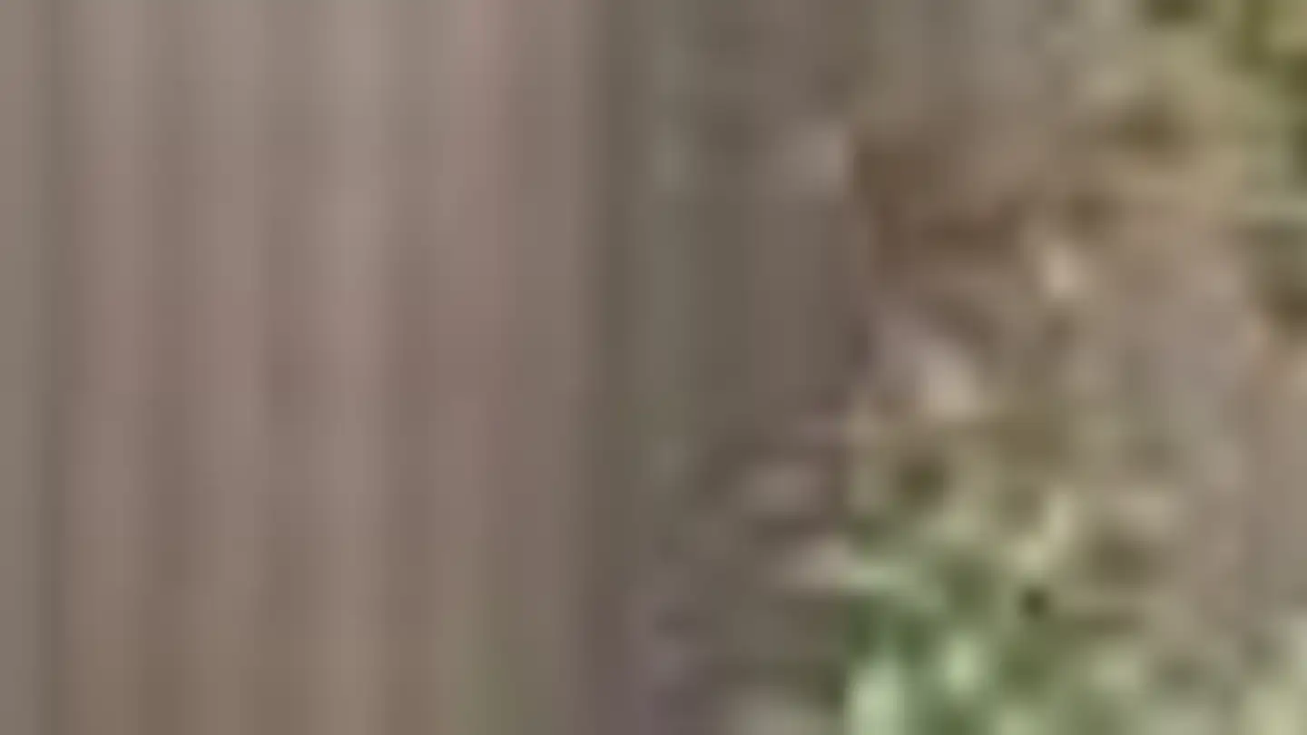 Single house for sale - Schmiedgasse 1, 6472 Erstfeld - Photo 4