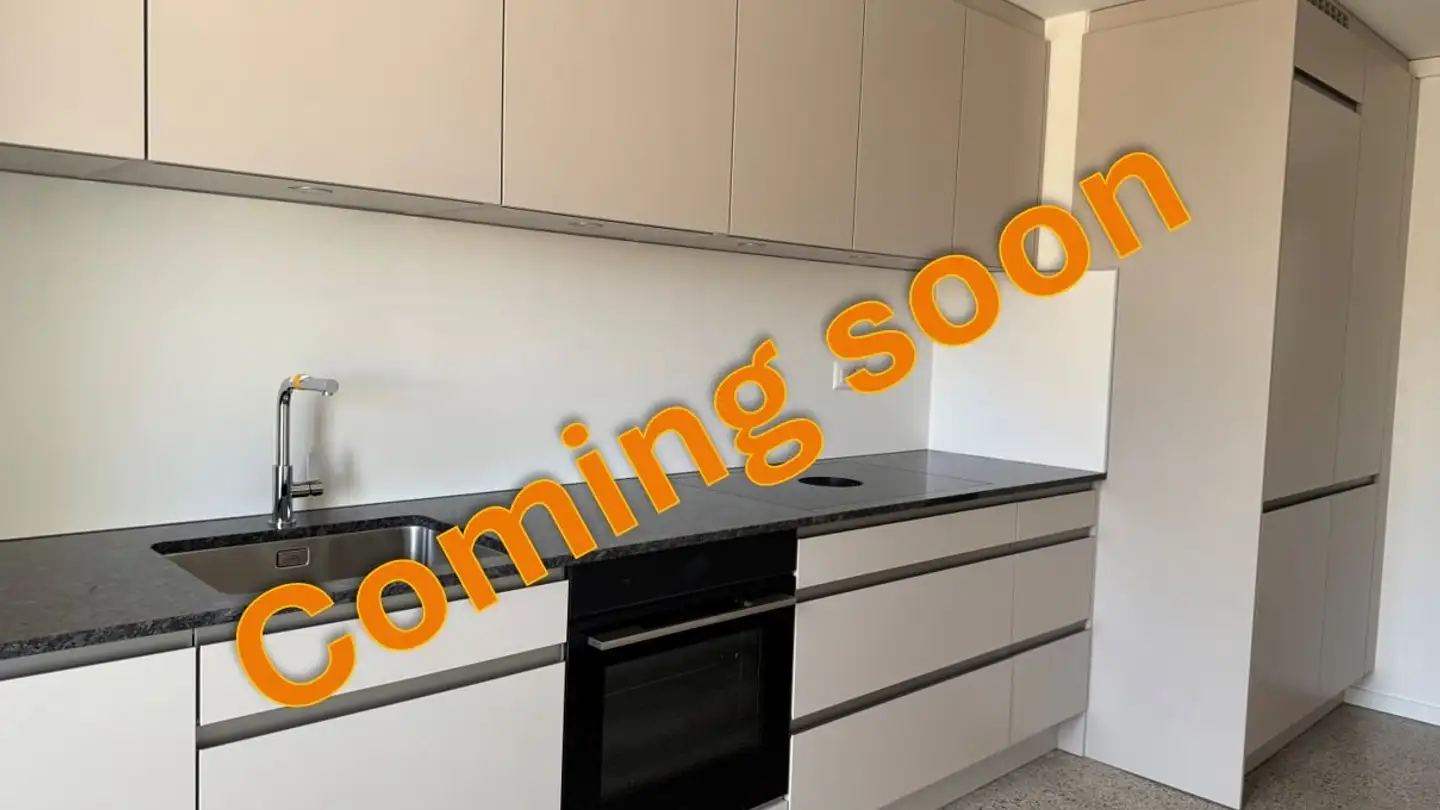 Duplex for rent - Herrengrabenweg 13, 4054 Basel