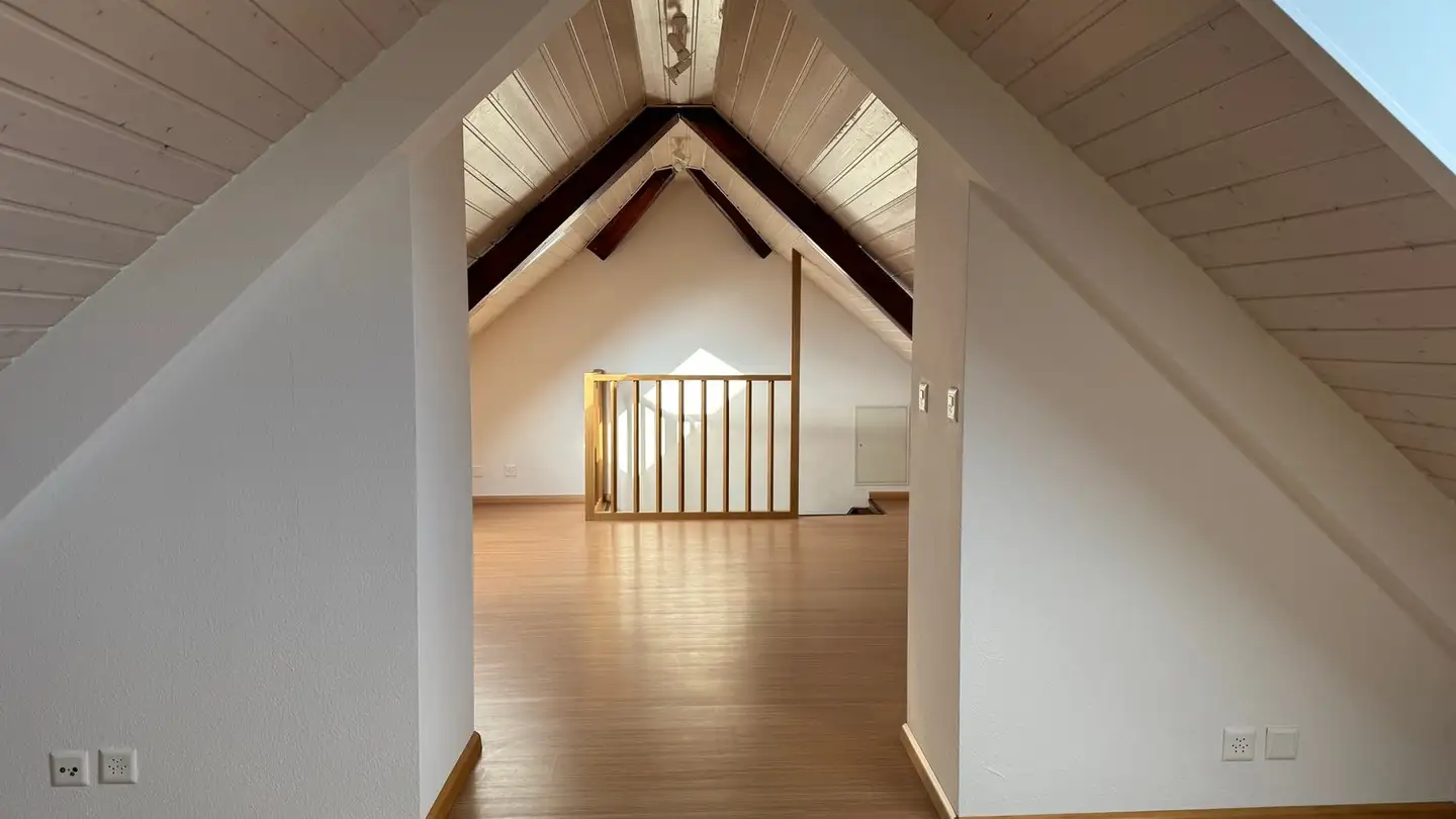 Duplex for rent - Herrengrabenweg 13, 4054 Basel - Photo 4