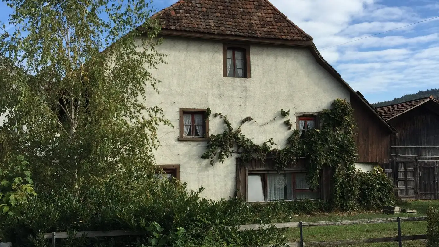 Farm for sale - Tegerfelderstrasse 6, 5303 Würenlingen
