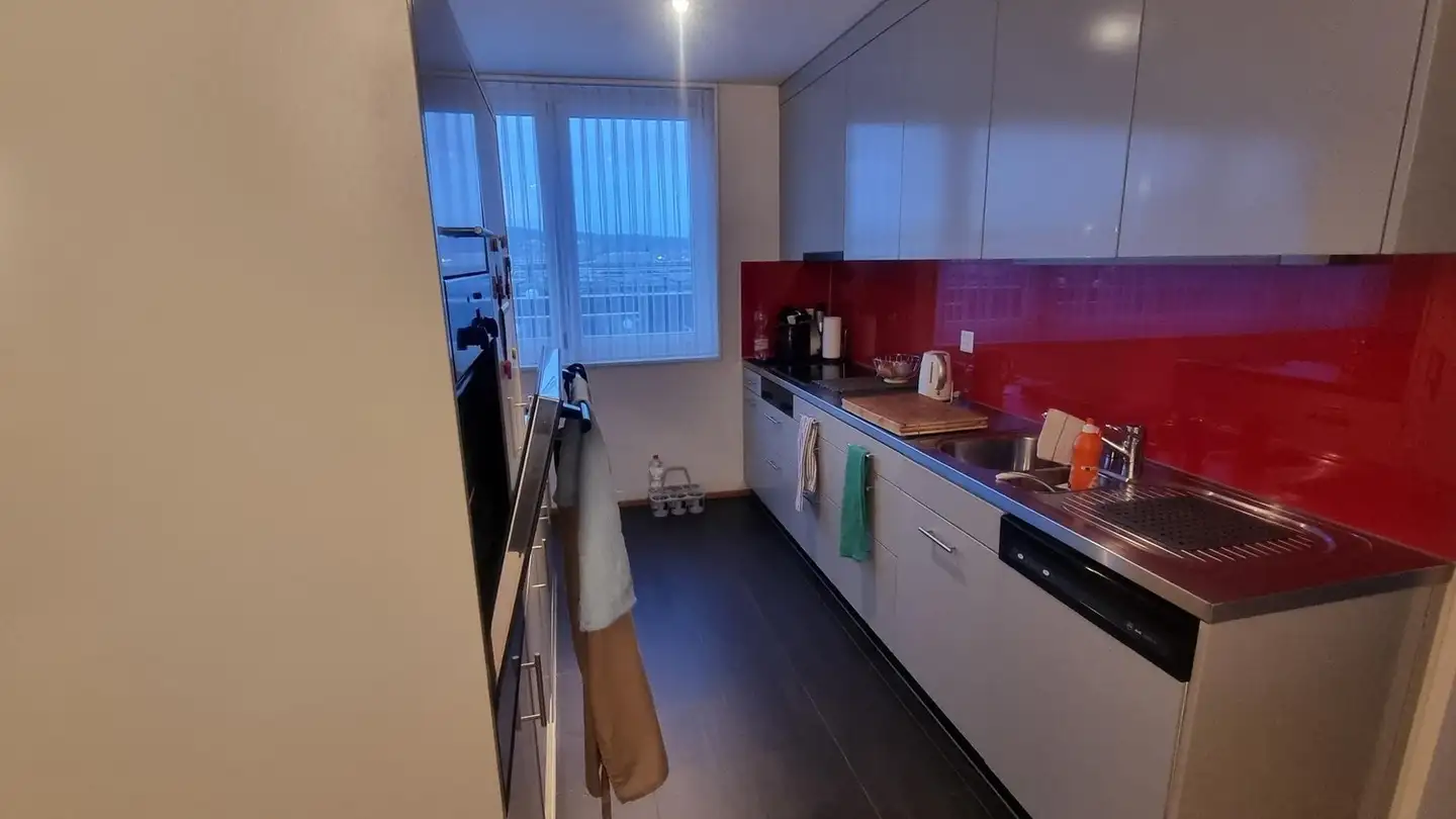 Appartamento in affitto - Mühlezelgstrasse 1b, 8047 Zürich - Foto 2