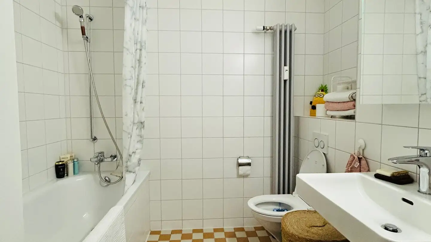 Appartamento in affitto - Schützenmattstrasse 40, 4051 Basel - Foto 3