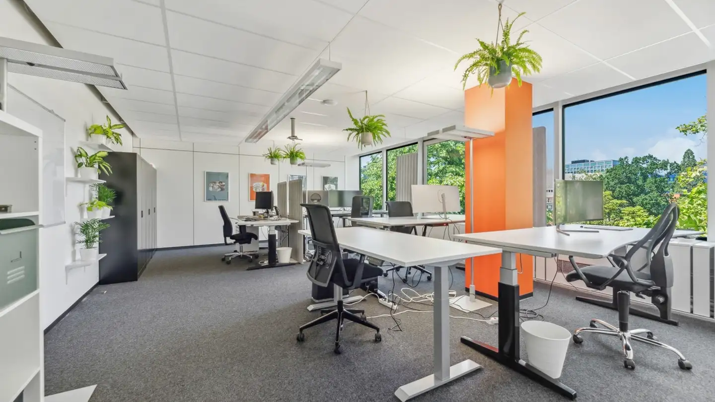 Bürofläche mieten - Altstetterstrasse, 8048 Zürich - Foto 4