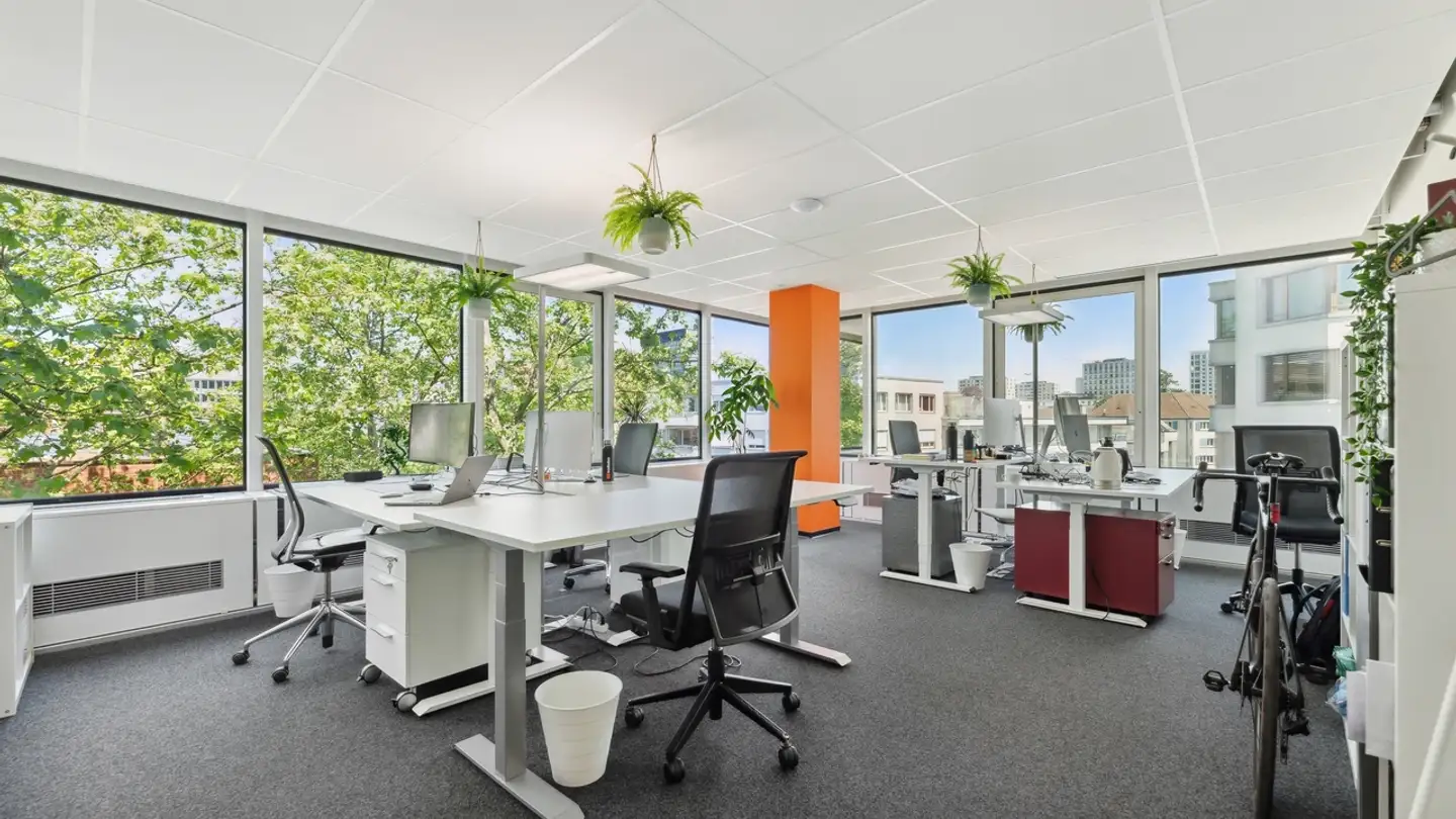 Bürofläche mieten - Altstetterstrasse, 8048 Zürich - Foto 3