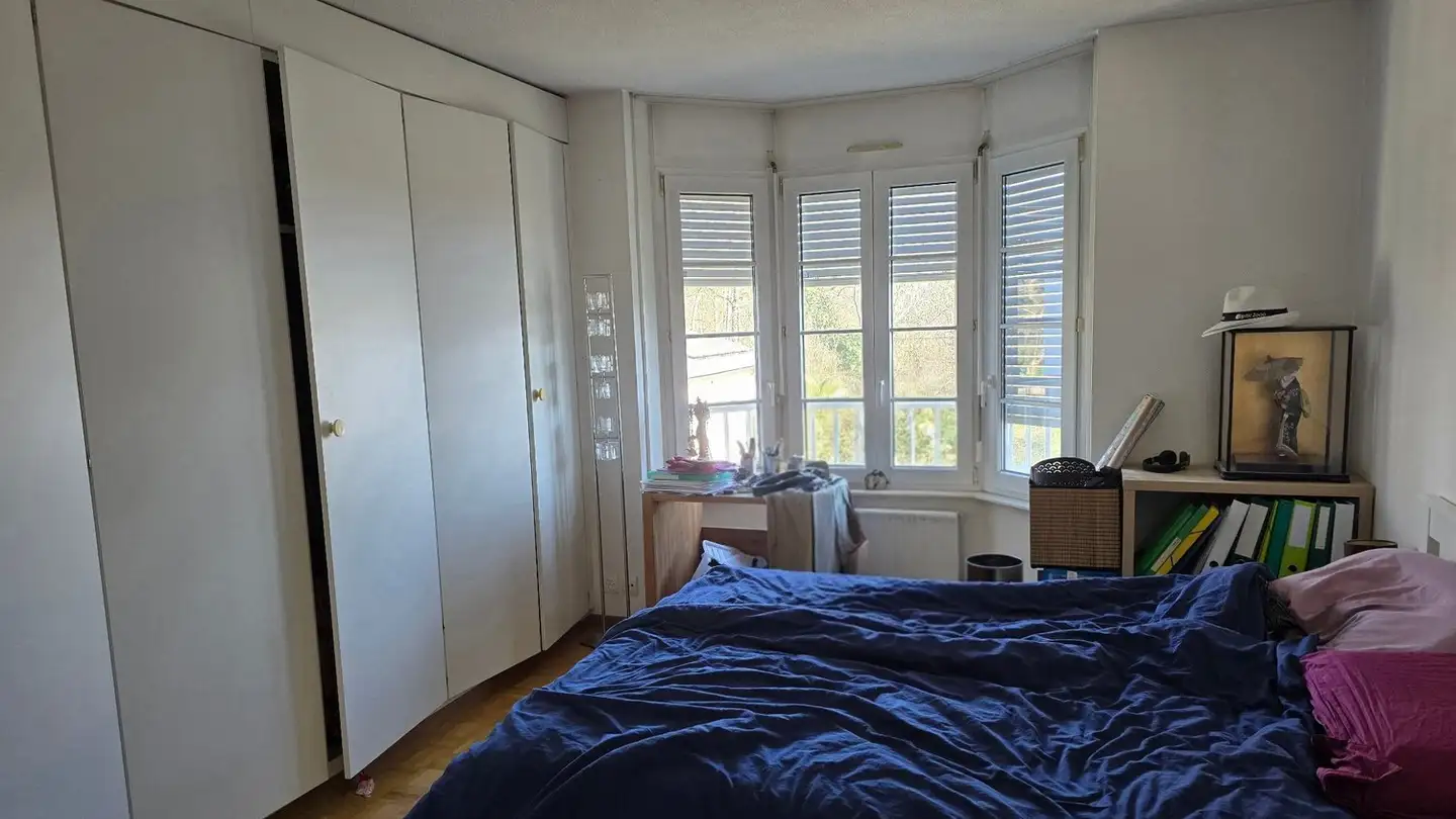 Appartement à louer - 1234 Vessy - Photo 4