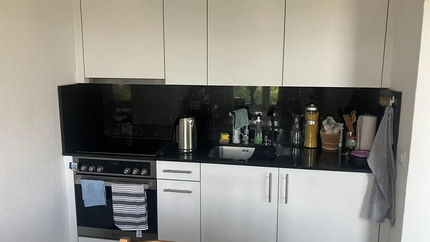 Appartamento in affitto - Brühlstrasse 100, 9320 Arbon - Foto 4