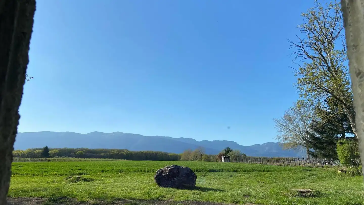 Single house for rent - Impasse Des Barjins 9, 1239 Collex - Photo 2