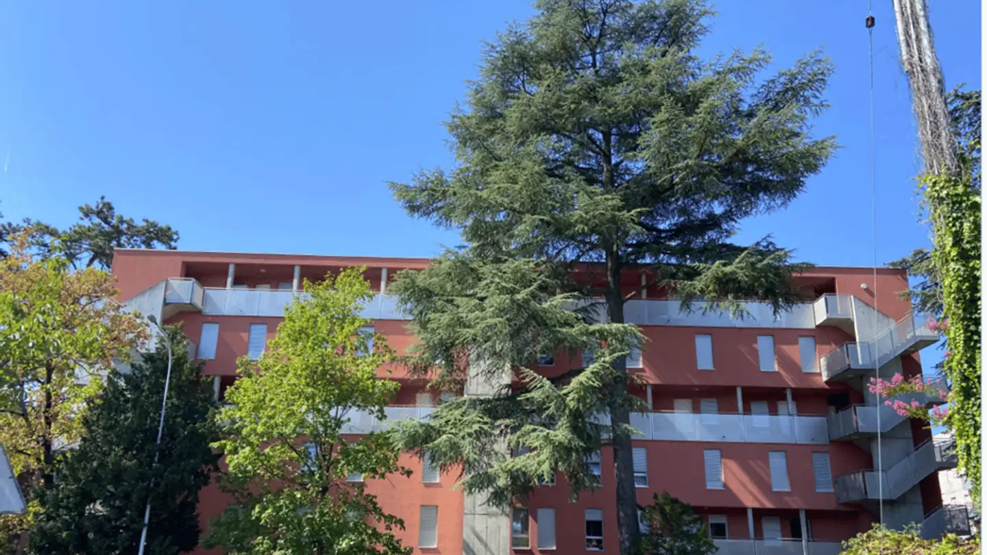 Wohnung mieten - Chemin Des Esserts 5, 1213 Petit-Lancy