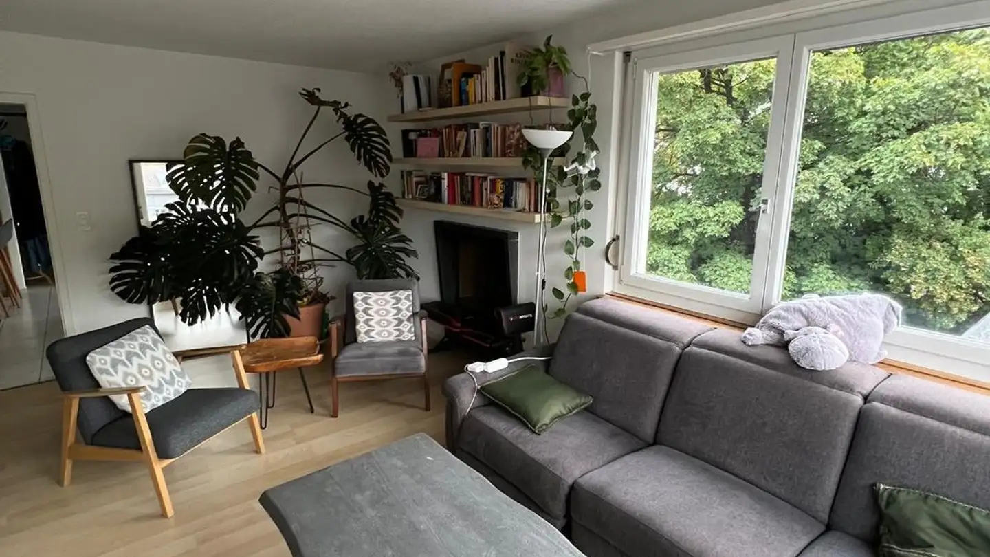 Chambre à louer - Grubenstrasse 37, 8045 Zürich
