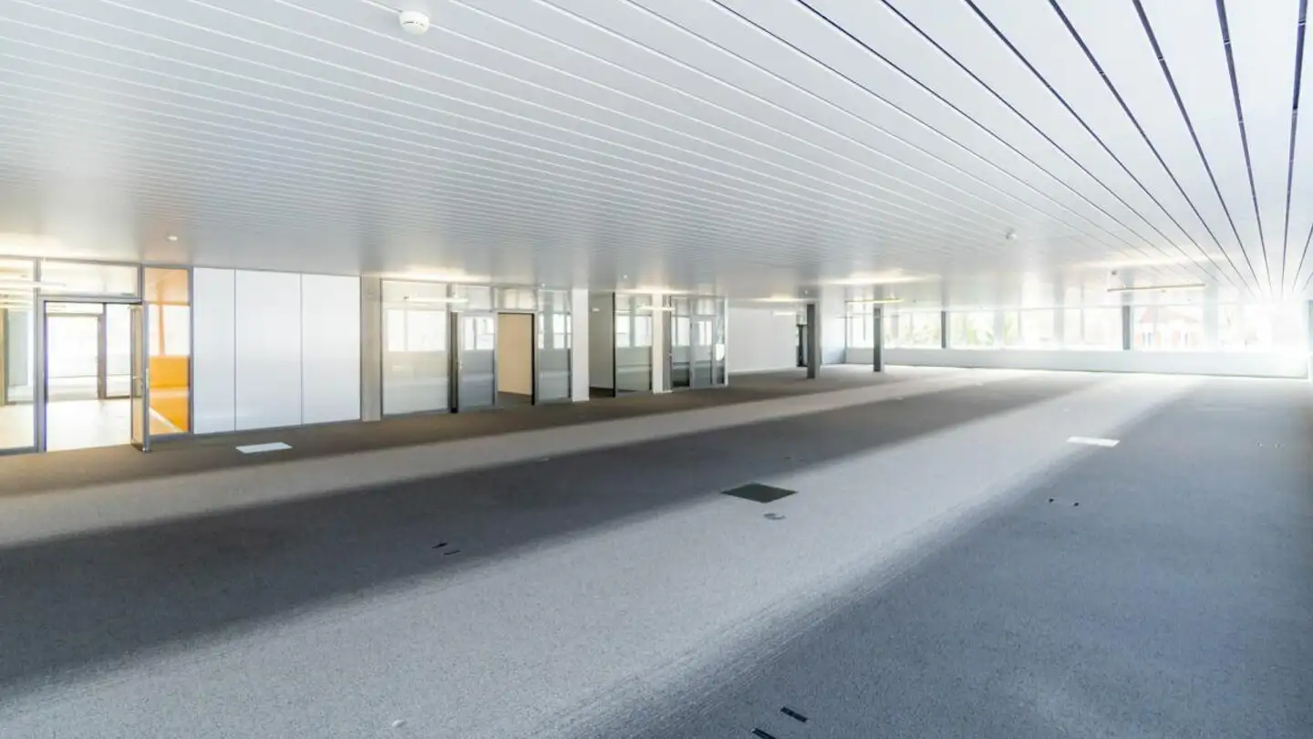 Office space for rent - Webereiweg 6, 4802 Strengelbach - Photo 4