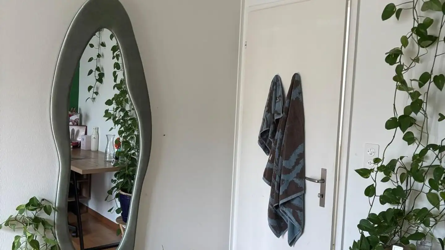 Chambre à louer - Grubenstrasse 37, 8045 Zürich - Photo 4