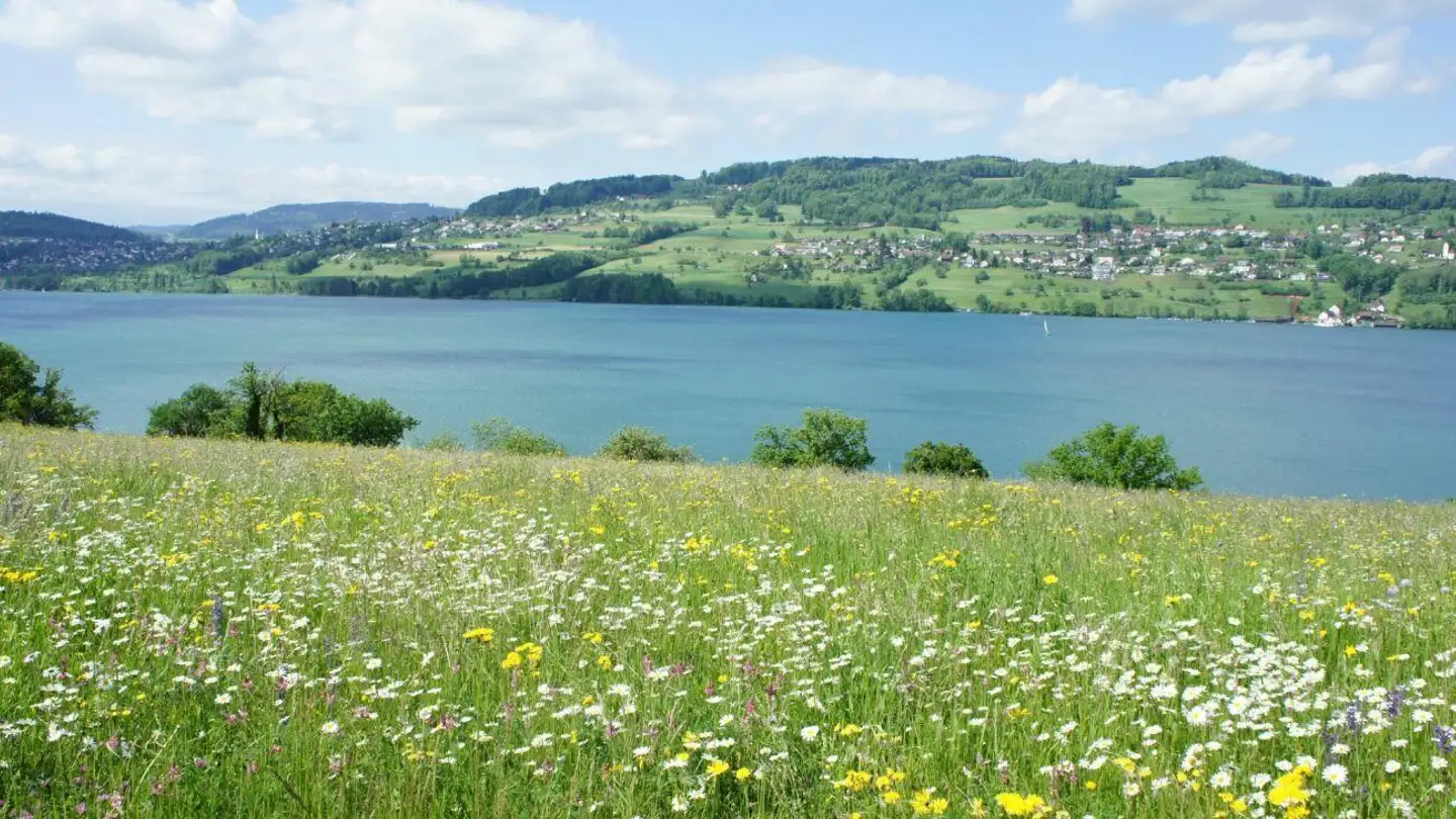 Einfamilienhaus kaufen - 5616 Meisterschwanden