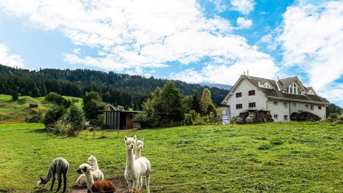 Appartamento in vendita - Büchelstrasse 16, 9658 Wildhaus - Foto 4