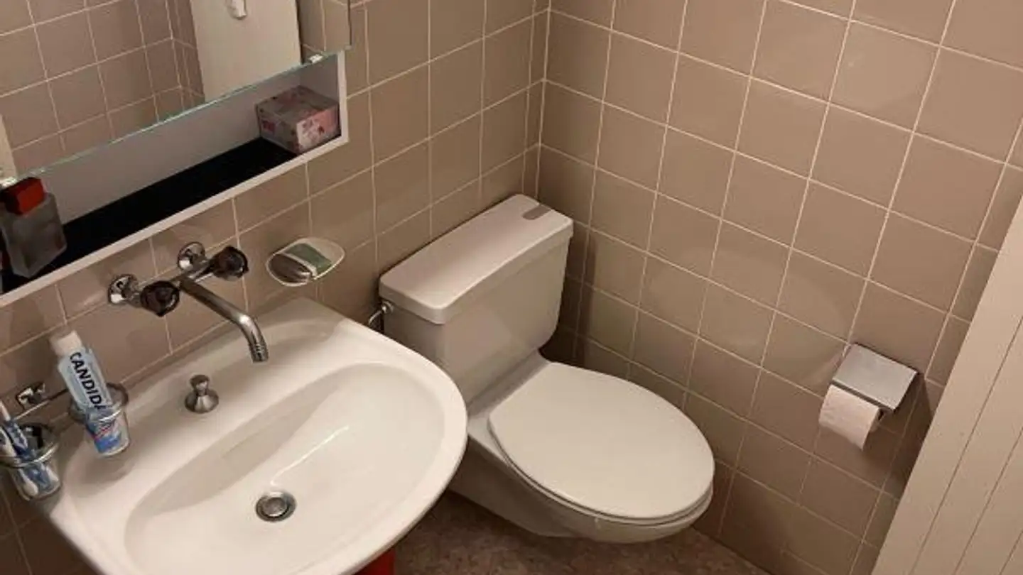Appartamento in affitto - Friedensgasse 4, 4056 Basel - Foto 4