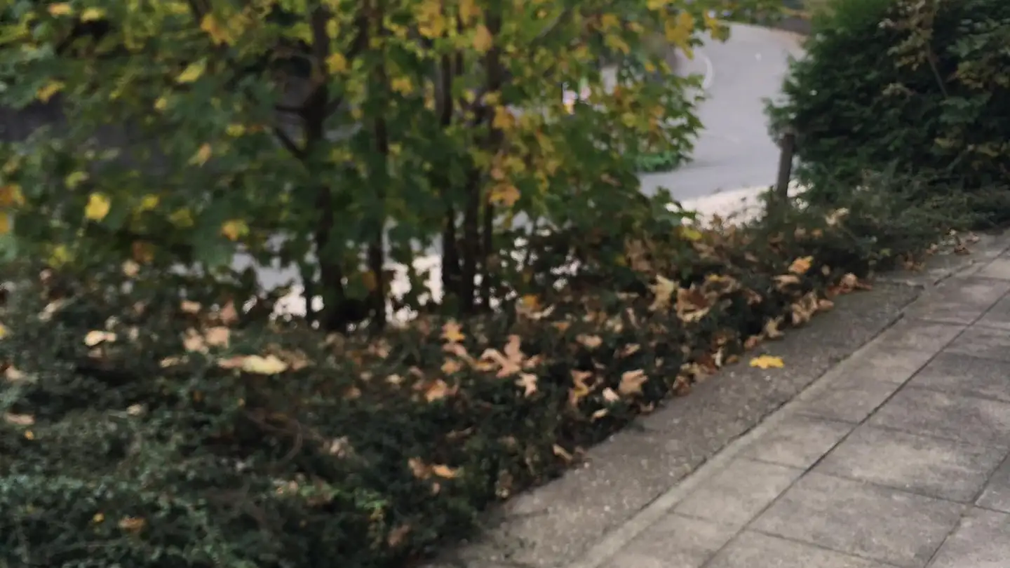 Studio in affitto - Teufener Strasse 129, 9012 St. Gallen