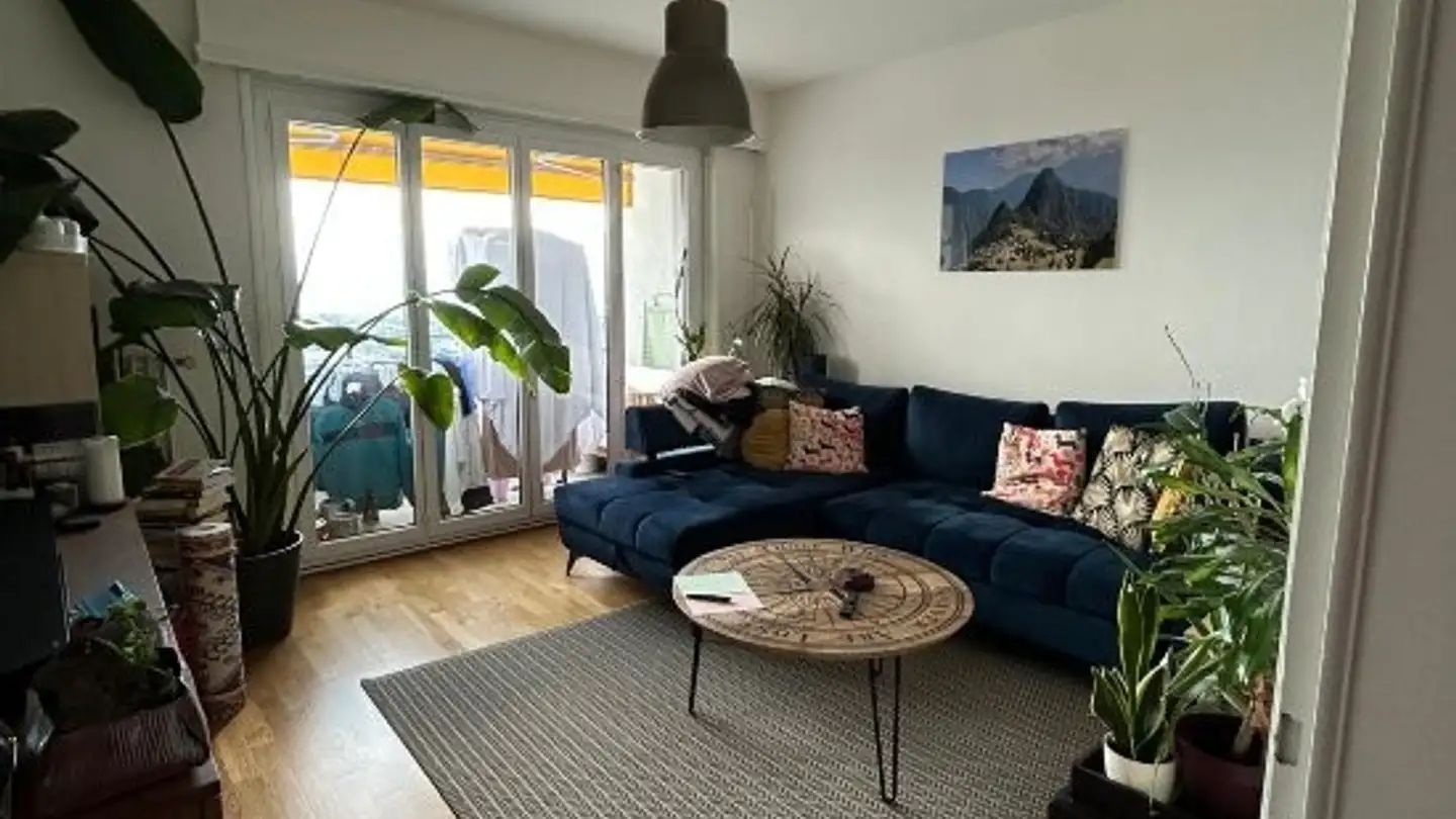 Appartamento in affitto - Chemin De Pierrefleur 36, 1004 Lausanne - Foto 4