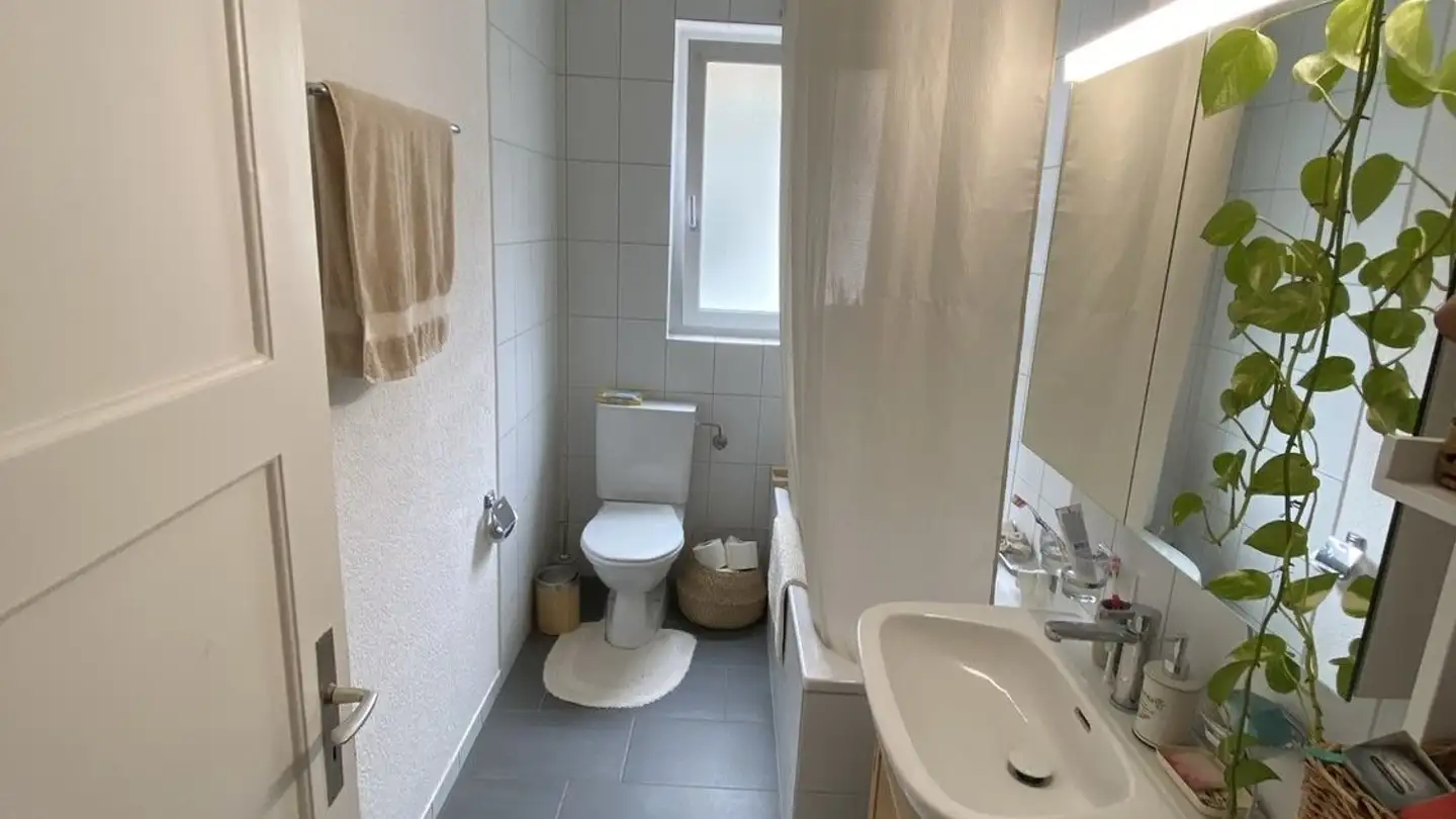 Single room for rent - 8047 Zürich - Photo 4