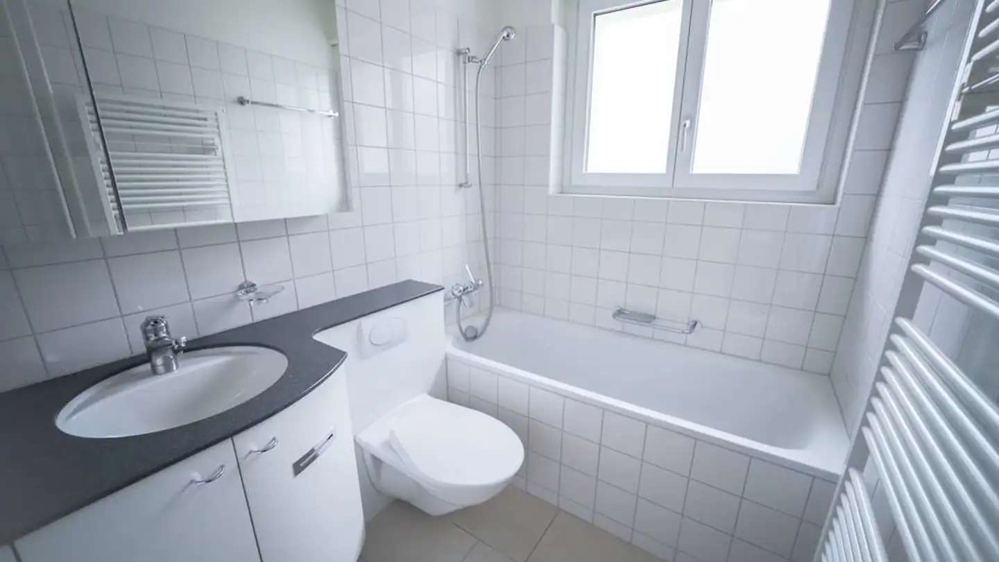 Appartement à louer - Buchzelgstrasse 23, 8053 Zürich - Photo 3
