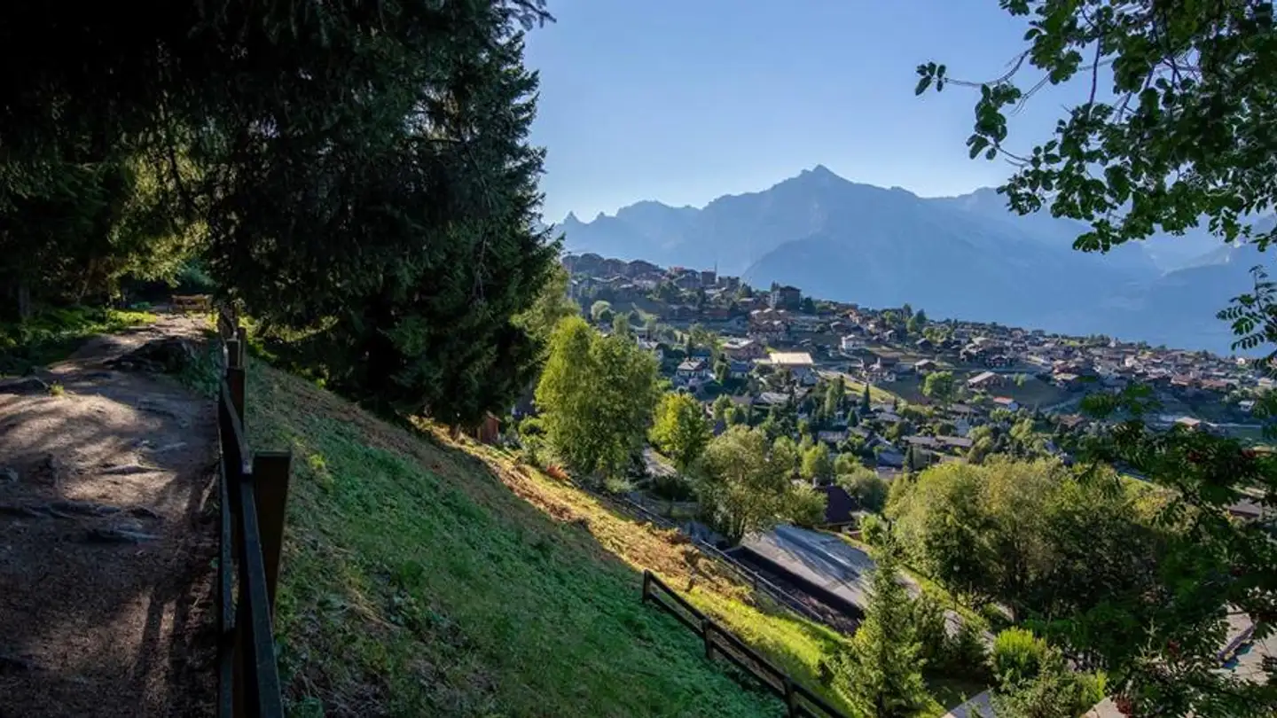 Terreno edificabile in vendita - 1997 Haute-Nendaz