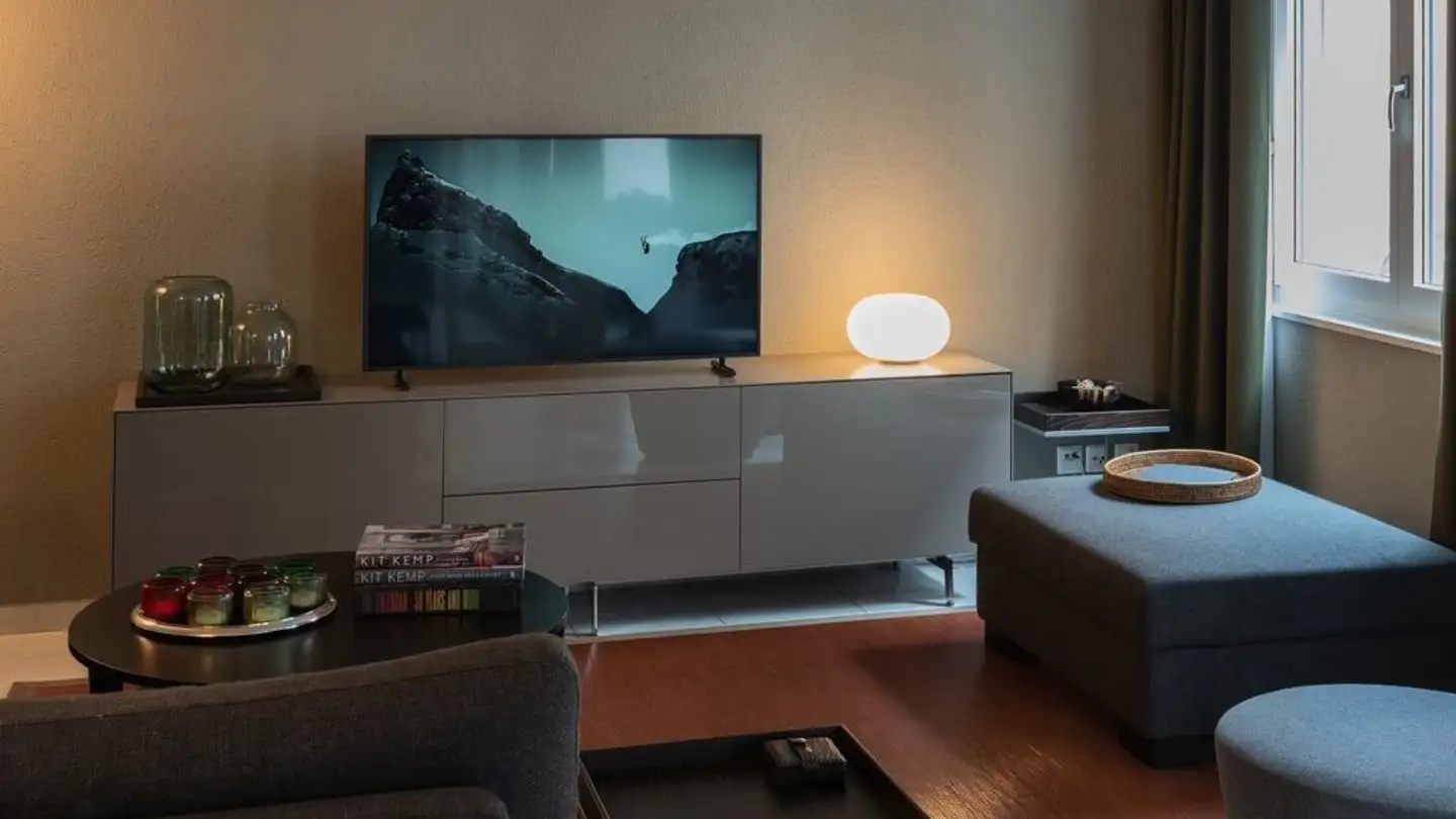 Furnished apartment for rent - Alte Landstrasse 158, 8800 Thalwil - Photo 2