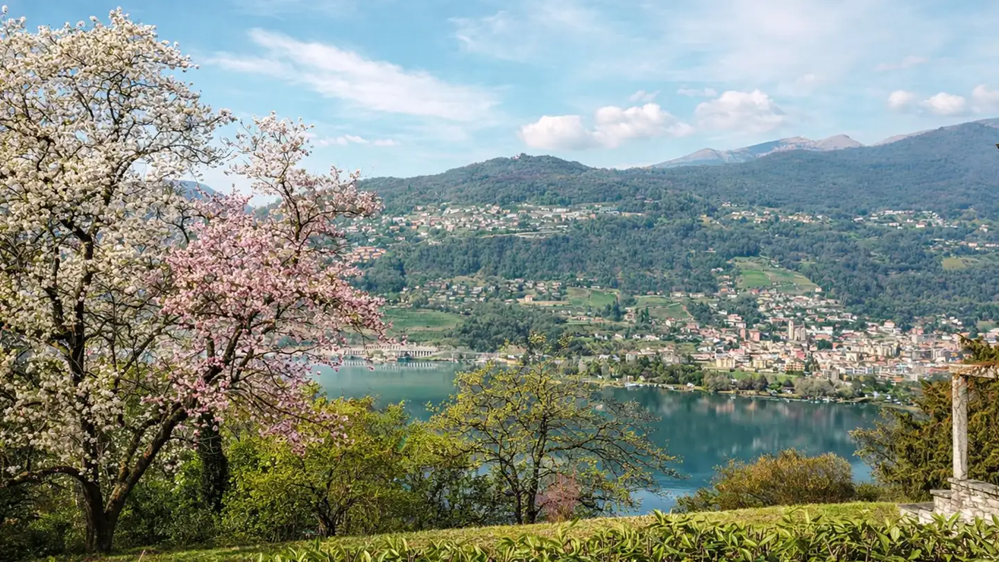 Appartement à vendre - 6926 Montagnola - Photo 2