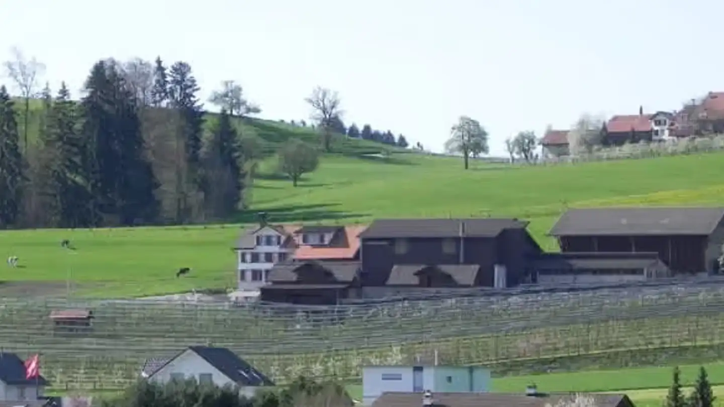 Studio à louer - Feldhof 415, 9512 Rossrüti