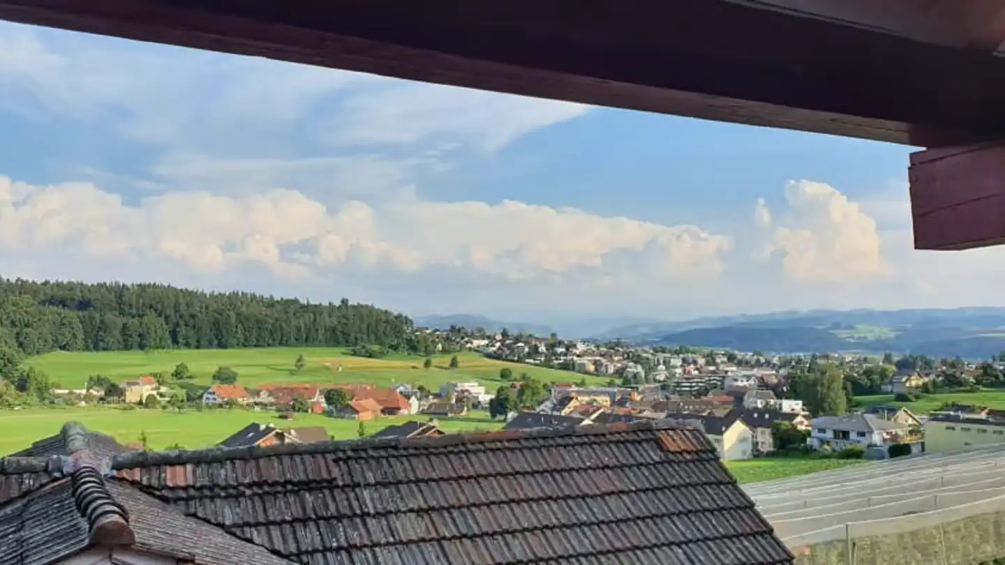 Studio à louer - Feldhof 415, 9512 Rossrüti - Photo 3