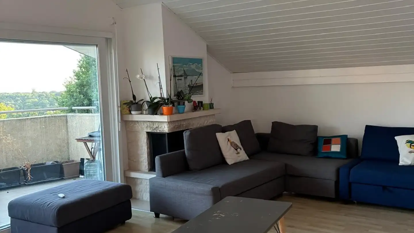 Apartment for rent - Chemin De La Cigale 6c, 1010 Lausanne - Photo 2