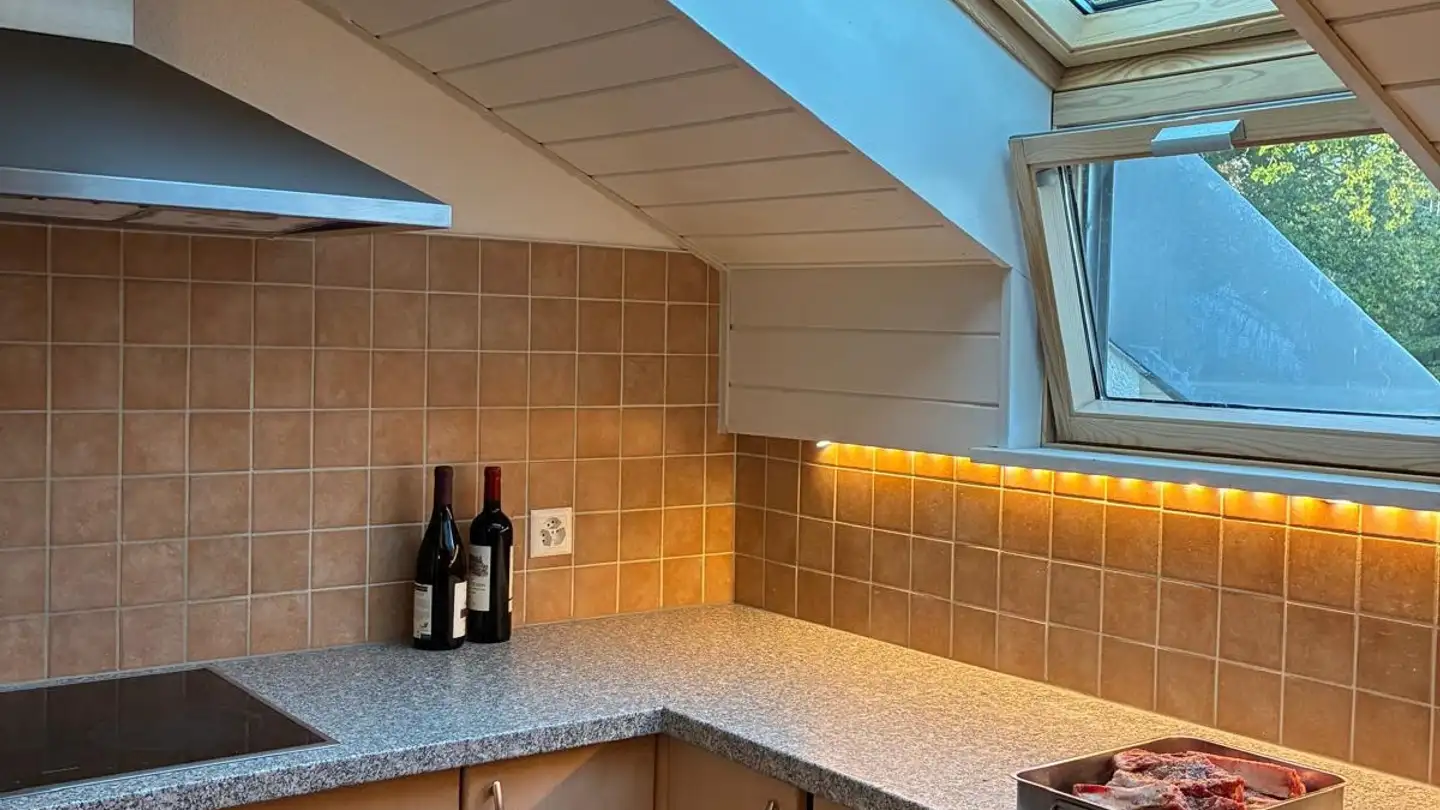 Apartment for rent - Chemin De La Cigale 6c, 1010 Lausanne - Photo 4