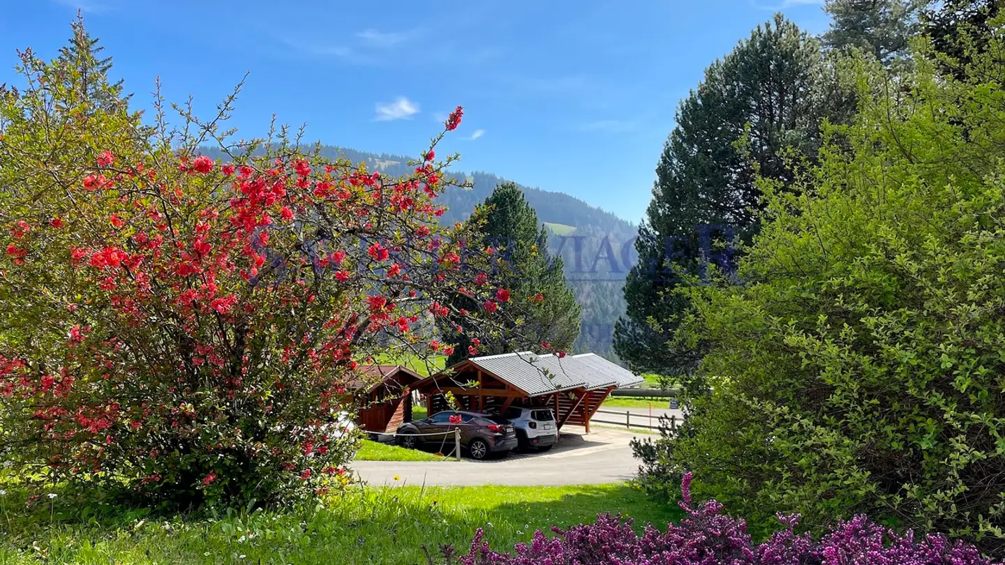 Wohnung kaufen - Route De La Frasse 265, 1618 Châtel-St-Denis - Foto 4