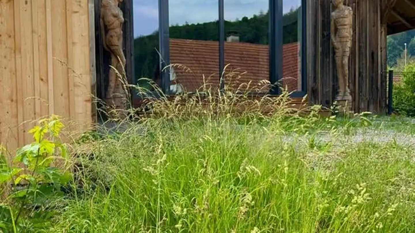 Loft for rent - Waldhausen 2, 5467 Fisibach - Photo 2