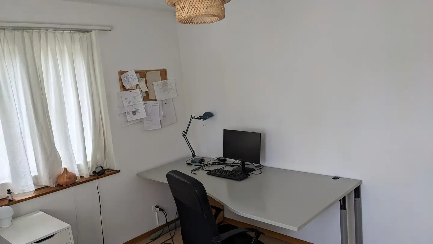 Single room for rent - Grosswiesenstrasse 53, 8051 Zürich - Photo 3